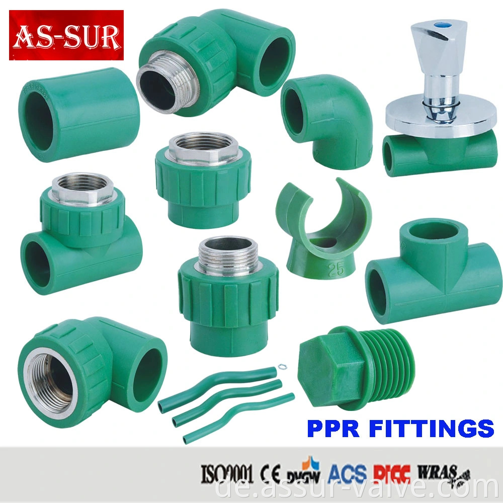 PPR Insert Messing Rohranpassung PVC Rohranpassung